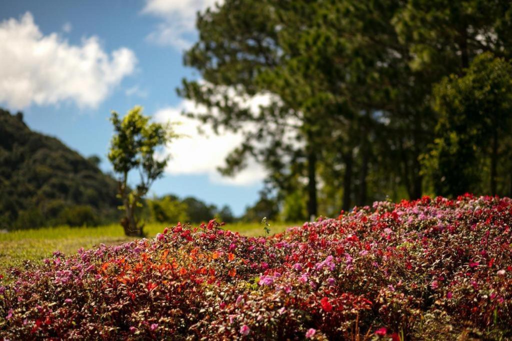 Sam Tuyen Lam Resort Dalat Luaran gambar
